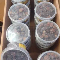 فروش خرما خاصوئی