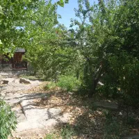 باغ۳۰۰متریسندتکبرگملاردویلایجنوبی|فروش خانه و ویلا|ملارد, |دیوار