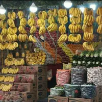 کارگر جهت کار در میوه فروشی|استخدام خدمات فروشگاه و رستوران|تهران, گلستان (شهرک راه آهن)|دیوار