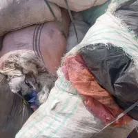 گونی ضایعاتی جامبو نایلکس موکت|عمدهفروشی|اصفهان, ارداجی|دیوار