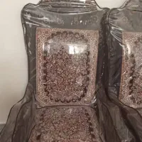 مبل قالی طرح شیر کاور کشیده شده نو نو