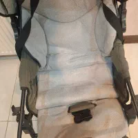 کالسکه|کالسکه و لوازم جانبی|کاشمر, |دیوار