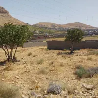 فروش زمین باغی ۸۰۰ متری در کلستان|فروش زمین و ملک کلنگی|شیراز, گلستان|دیوار