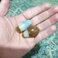 مهره برد اصل|بدلیجات|یاسوج, |دیوار