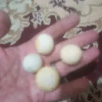 سنگ قیمتی|جواهرات|مشهد, شهرک شهید باهنر|دیوار
