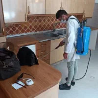 شرکت سمپاشی تضمینی سوسک طعمه موش سم پاشی|خدمات نظافت|تهران, میرداماد|دیوار