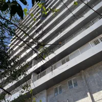 برج‌ زیبای ولیعصر ۱۰۰ متر نقل و نبات