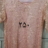 لباس مجلسی و کیف|لباس|گرمسار, |دیوار