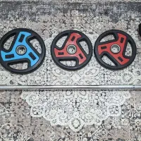 هالتر ک صفحه و دمبل باشگاهی