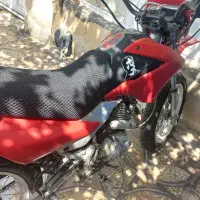 تریل رادیسون