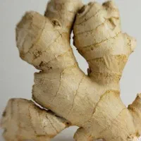 زنجبیل عمده