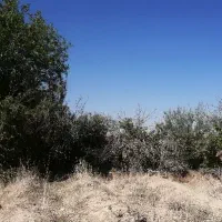 باغ-1800-متری-در-علویجه