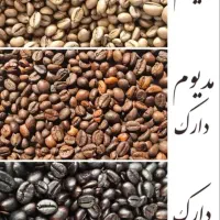 انواع دان قهوه رست روز