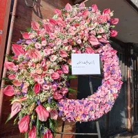 گل نمایشگاه بین المللی|گل و گیاه طبیعی|تهران, آرارات|دیوار