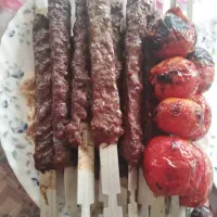 کبابپزهای جوجه گردان دادلیسان بدون دود|اجاق گاز و لوازم برقی پخت‌وپز|مرودشت, ژیان|دیوار