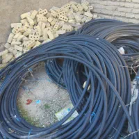 وسایل بارانی|خدمات باغبانی و درختکاری|مرودشت, نقش رستم|دیوار