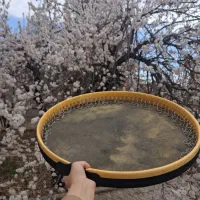 آموزش موسیقی دف