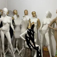 مانکن سالم و چوب کار