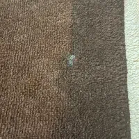 فرش ۶متری و۴متری