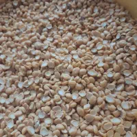 لپه روستایی تازه وخوش پخت