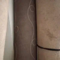 موکت|موکت|گرگان, |دیوار