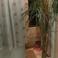 اپارتمان 72 متری تک واحدی با پارکینگ اصلی و انباری|اجارهٔ آپارتمان|تهران, افسریه شمالی|دیوار