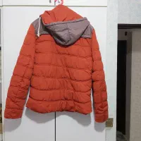 کاپشن مردانه|لباس|سنندج, |دیوار