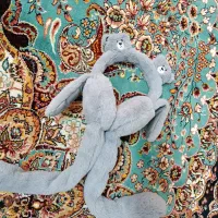 گوش گیر|لباس|تهران, جوادیه|دیوار