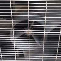 کولر گازی اسپلیت ۲۴ هزار اصلی|کولر گازی و فنکوئل|قزوین, |دیوار