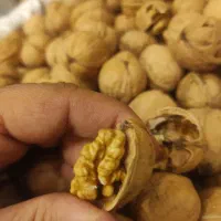 گردو کاغذی نهاوند همدان|خوردنی و آشامیدنی|نجفآباد, جلال آباد|دیوار