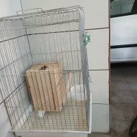 قفس پرنده|لوازم جانبی حیوانات|فسا, |دیوار