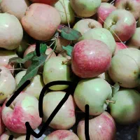 سیب .|خوردنی و آشامیدنی|بروجرد, |دیوار
