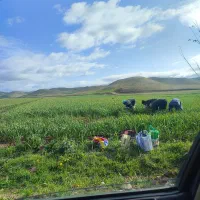 کارگری اکیپ