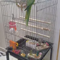 ملنگو نر دستی