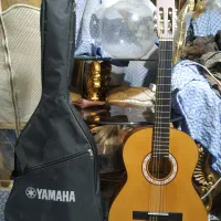 گیتار دست‌ساز پارسی مدل M2(چوب محشر وبی‌نظیر گردو)