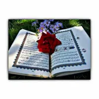 خانمی هستم ک ختم قرآن صلوات زیارت عاشورا نماز