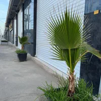 اجاره مغازه اداری کارگاهی تولیدی بهداشتی انبار