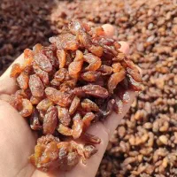 سوپرلوکس خوراکی