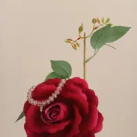 دستبند کریستالی|جواهرات|ابهر, |دیوار