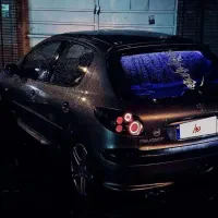 ۲۰۶ تیپ۲ فرانسه