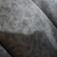 موتور تریلgy