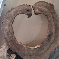 کالباسی گردو