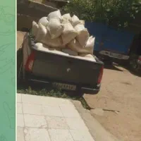 بی واسطه ازکشاورزبدون پوچ وتلخی پرمغز|خوردنی و آشامیدنی|مشهد, رضاشهر|دیوار