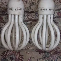 ۲ لامپ رشته ای بزرگ