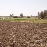 اجاره-زمین-کشاورزی