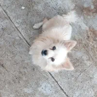 فروش و واگذاری فوری