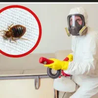 سمپاشی ساس سوسک تهران و پاکدشت|خدمات نظافت|پاکدشت, پاکدشت (مامازند)|دیوار