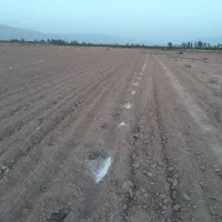 فروش زمین طرح فرزند آوری در سروستان231متر