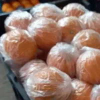 خدمات گرمادرمانی و اب درمانی مرکبات