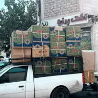 پخش پتو گلبافت عمده و تک|رختخواب، بالش، پتو|تهران, نارمک جنوبی|دیوار